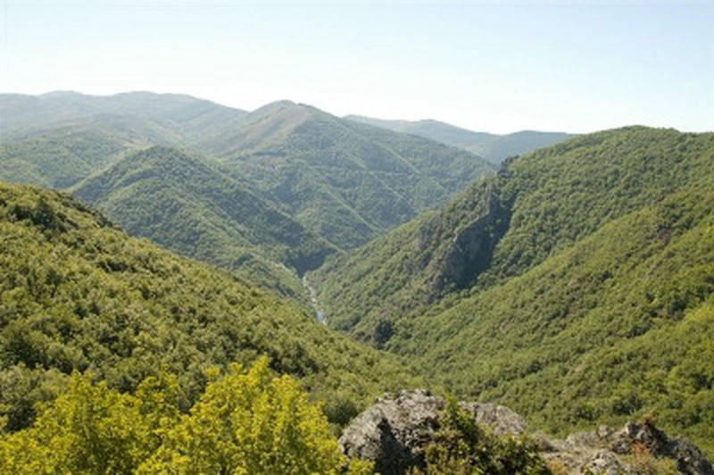 Cévennes